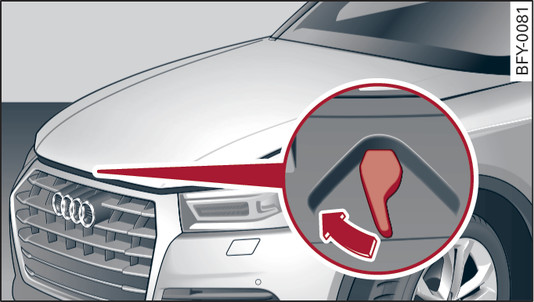 Илл. 322 Открытая крышка моторного отсека: рычаг